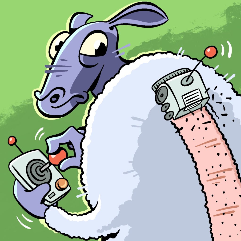 An illustration of a sheep using a remote control, looking over his shoulder at a remote-controlled razer, which is shearing a stripe down its back. The sheep is large and round, with fluffy wool. It is looking back nervously. Its face and hands are a light purple, its wool is a light blue, and its eyes are a pale yellow. The stripe of sheared area is a bare pink with speckles. The remote-controlled razer is a small box with wheels and a grill on the front. The remote and razor both have a small antenna with a large round ball at the end. The background is a bold green with a darker splash of green streaking across.