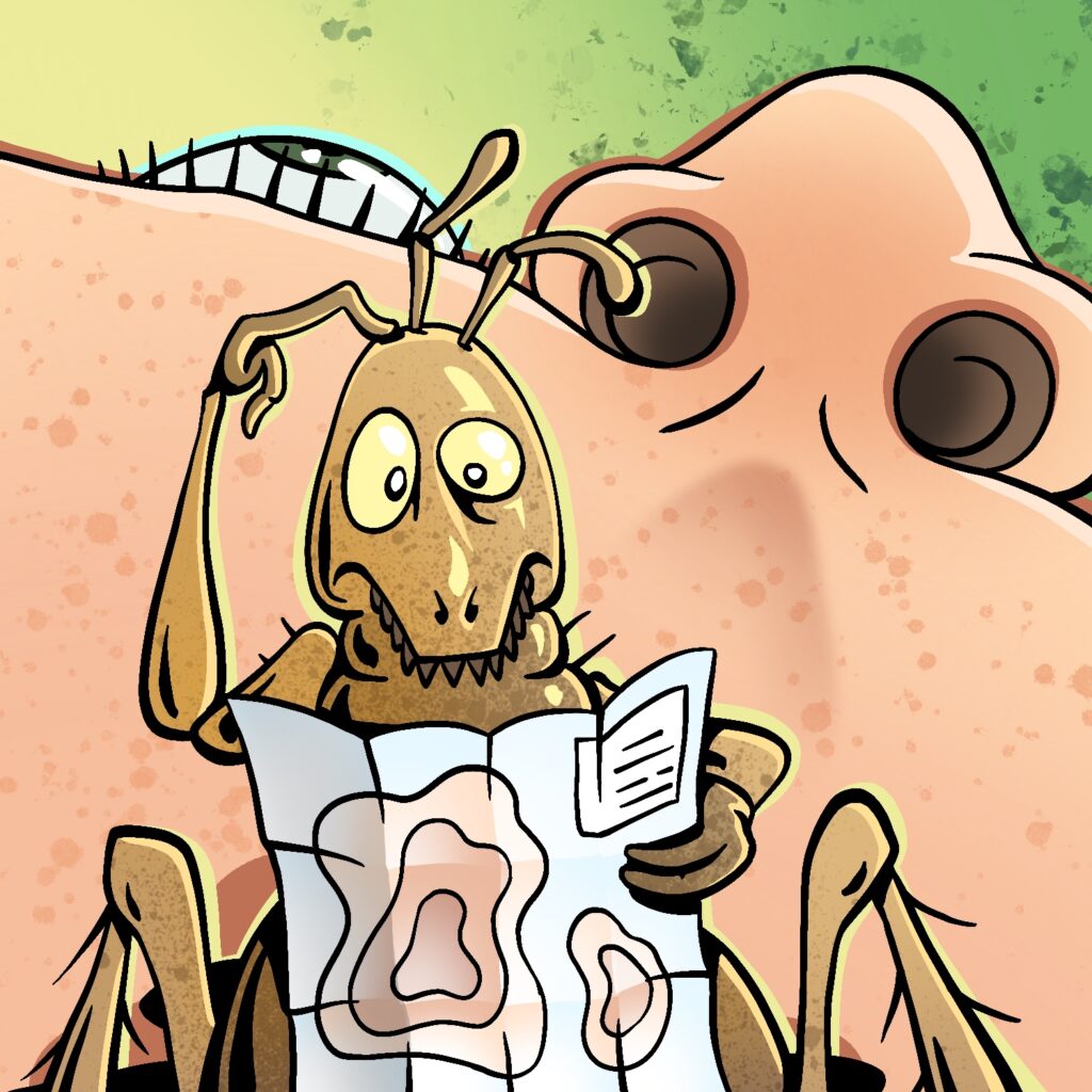 An illustration of a flea looking at a map and scratching his head. The flea is standing on what appears to be skin, with a giant nose and bulging eye in the background, just on and over the horizon. The flea is a tan brown with flicks of darker color. He has a confused look on his face. The map he is holding looks like it was previously folded and features a non-descript topological map on the side facing the viewer. The skin in the background is light in complexion and speckled with darker spots, like freckles. The nose is on the right, with nostrils facing the viewer, looking like two round caves. The eye is on the right, just behind some long eye lashes. It is dark green. The background is a bright green with noisy paint splotches.