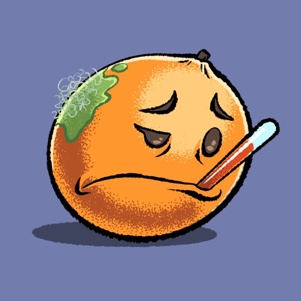 A cartoon illustration of an orange with a sad face on it and a thermometer in its mouth. The orange looks depressed, with only one eye full open. The thermometer juts out at an angle from the orange. The back of the orange has a green, hairy mold on it. It is sitting on a steel blue background.