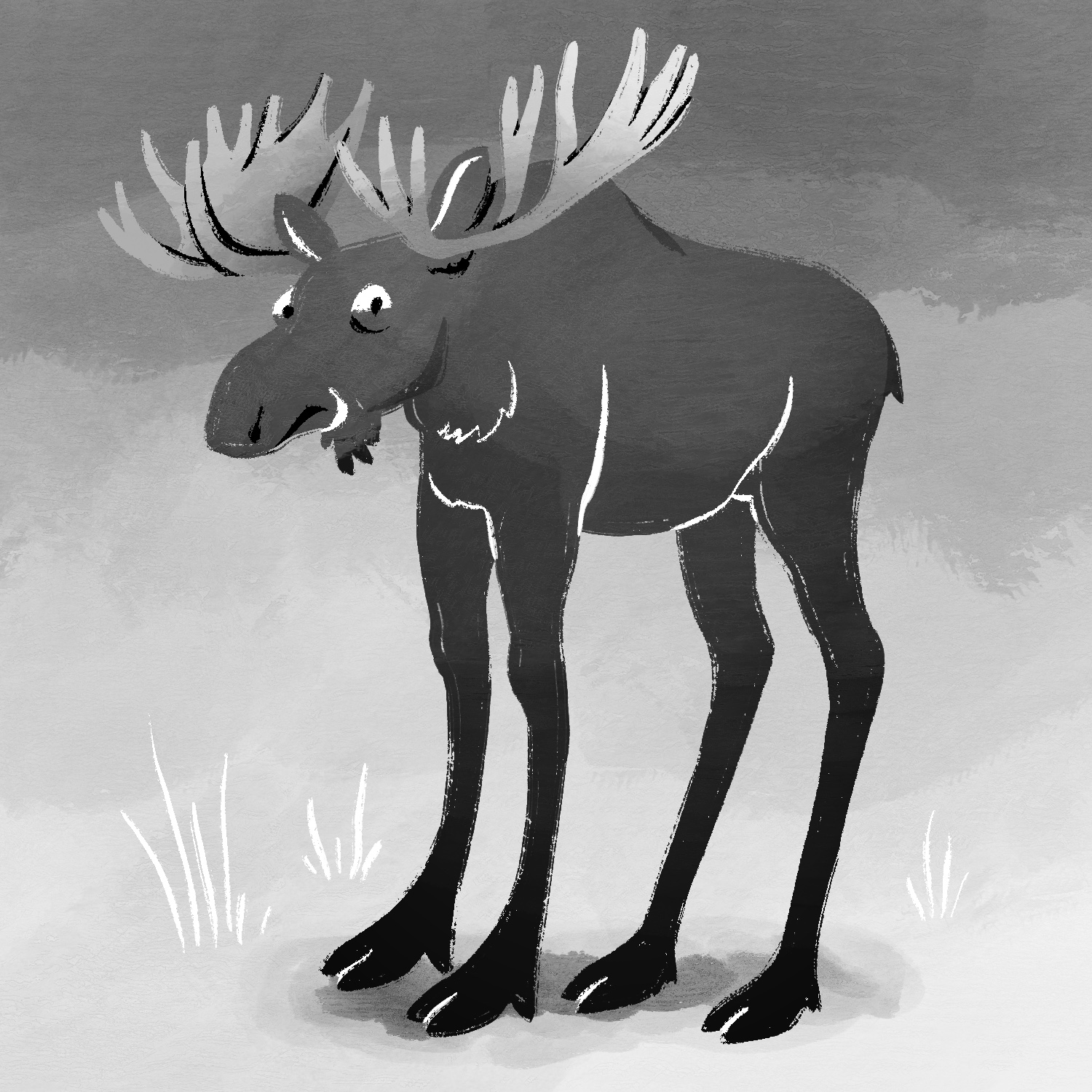 A black and white illustration of a moose with very long legs. The moose is standing angled mostly to the side, but somewhat towards the viewer, to the left. He is looking at the viewer with squinted eyes, and he looks like he has some misgivings. The moose is gray, fading to black from top to bottom. He has large, light gray antlers with many points on them. The background is a fade from light gray to near-white at the bottom, with white blades of grass drawn near the bottom.