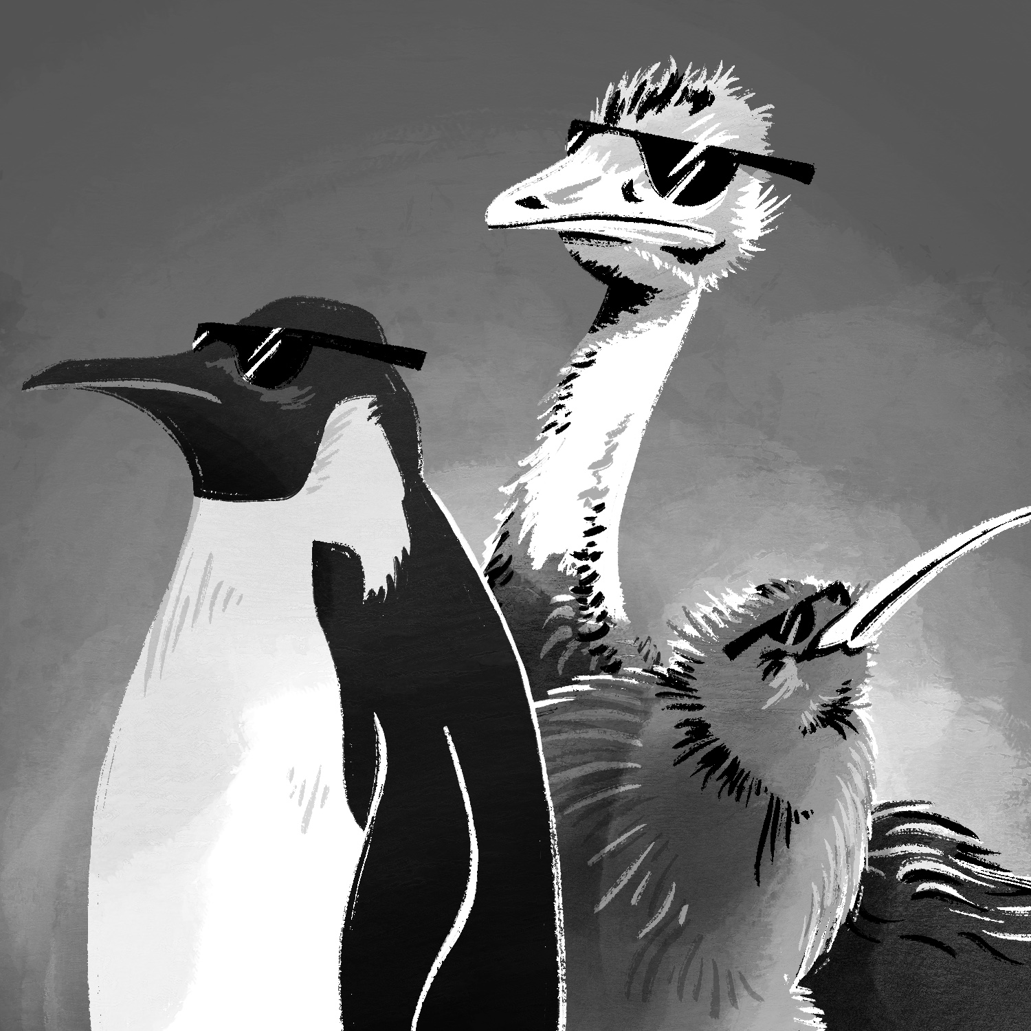 A black and white illustration of a penguin, kiwi, and emu standing together, wearing sunglasses. The penguin is in front on the left. It is an emperor penguin, and it is facing to the left. The kiwi is behind the penguin to the lower right. It is looking up into the air, but not toward the viewer. The emu is behind both other birds, above and to the center. It is facing slightly left of the viewer, and part of its body can be seeing behind the kiwi. All birds are wearing black, shiny sunglasses that are reflecting rays of light. The background is gray with a glow behind the birds.